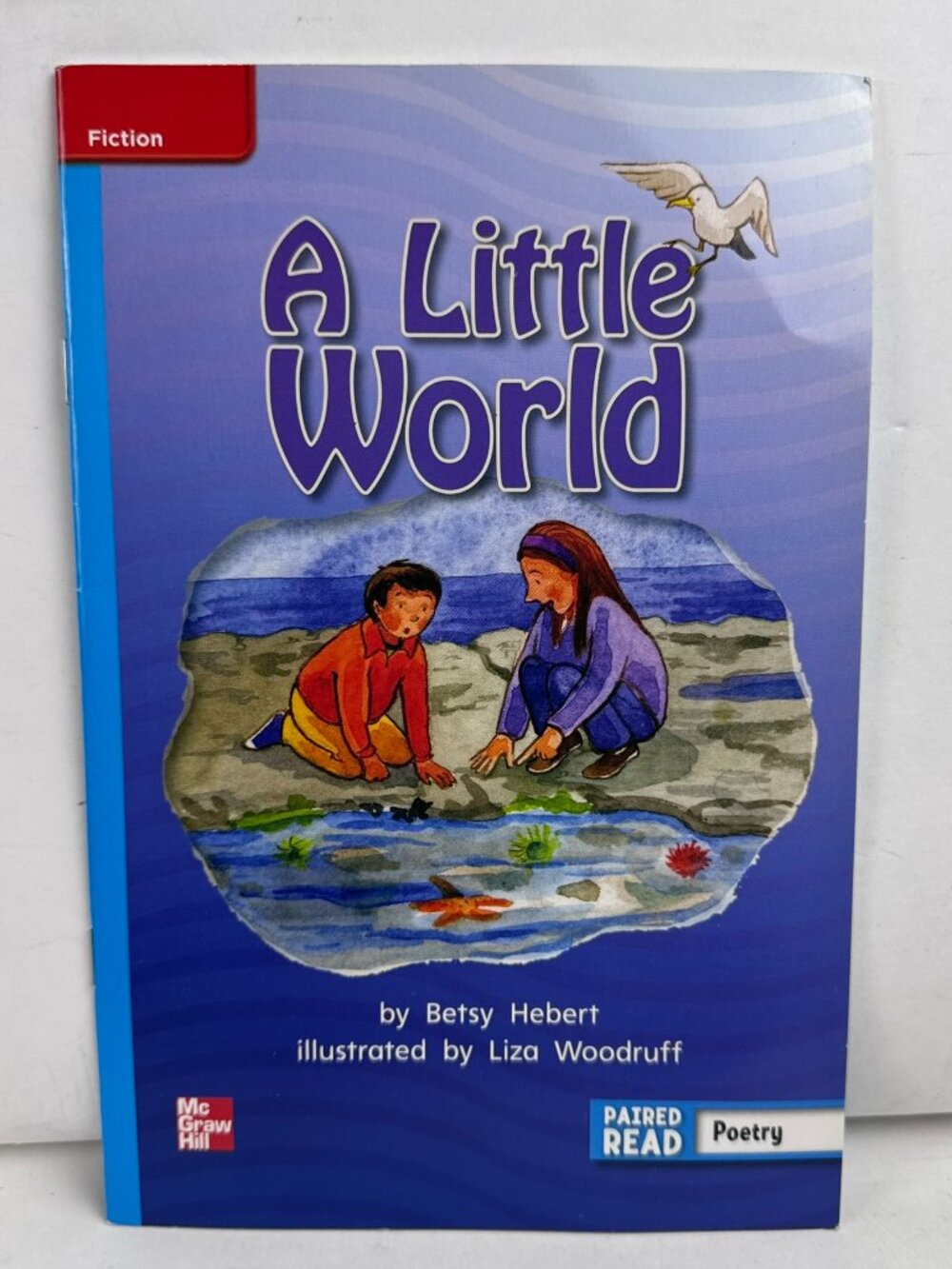 A Little World Betsy Hebert McGraw Hill Grade 2 Unit 4 Week 5 Paired Read Book